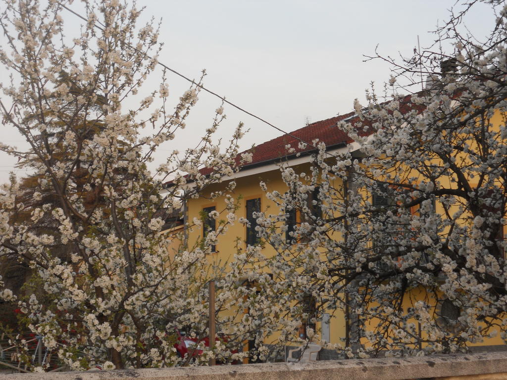 B&B Pervinca Rocca Grimalda Экстерьер фото